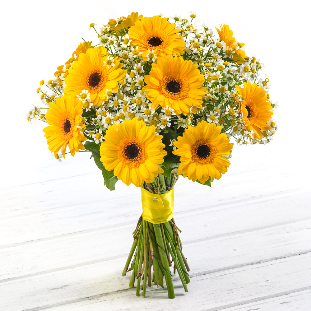 Sunshine Sunshine<br>Ингредиенты: Гербера мини 12 шт, Танацетум 11 шт, Салал;