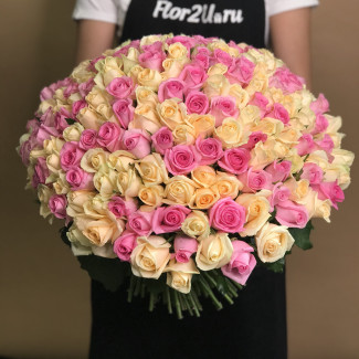 201 кремовая и розовая роза (50 см)