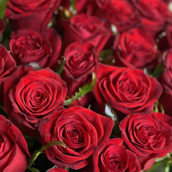 Букеты из роз Букет из 29 роз сорта Престиж (70 см)