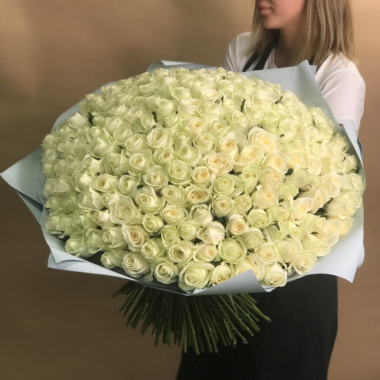 Букеты из роз Букет из 201 белой розы (70 см)