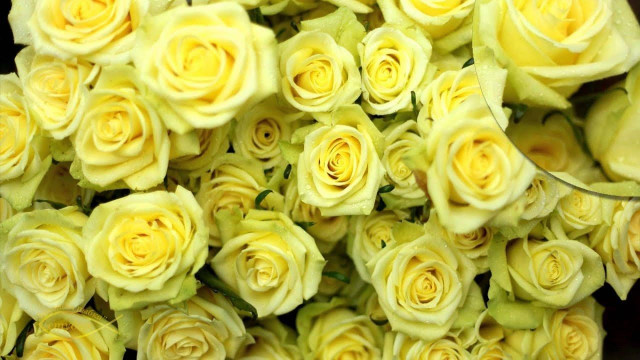 К чему дарят желтые розы?