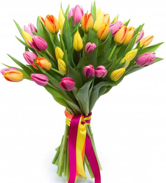 Букет тюльпанов цены где в калуге купить цветы подешевле