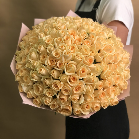 Розы Букет из 151 кремовой розы (40 см)