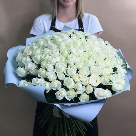 Розы Букет из 151 белой розы (60 см)