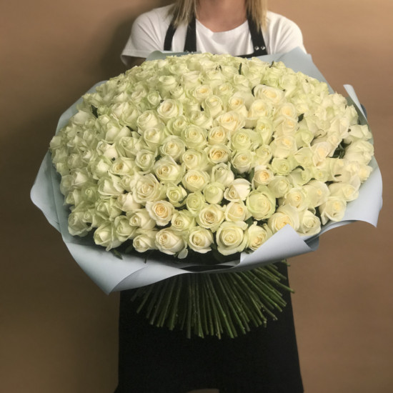 Букеты из роз Букет из 201 белой розы (70 см)