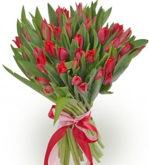 Купить букет тюльпанов цветы похороны купить