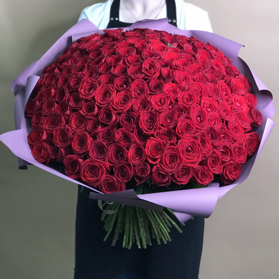 Розы Букет из 151 красной розы (70 см)