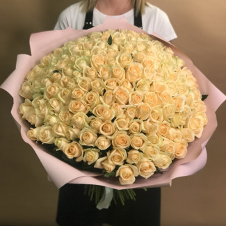151 кремовая роза (70 см)