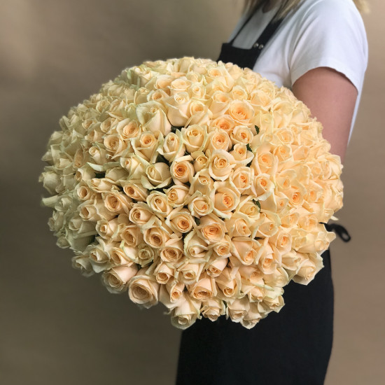 Розы Букет из 201 кремовой розы (60 см)