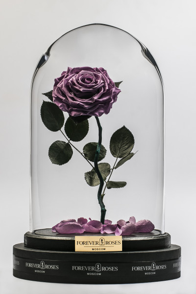 Роза в колбе Роза на изогнутом стебле Lilac