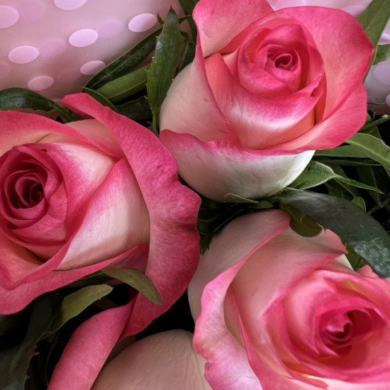 Букеты из роз Букет Джумилия