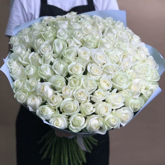 Розы Букет из 101 белой розы (60 см)