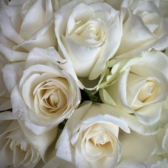 Цветы в коробке Белые розы в шляпной коробке S