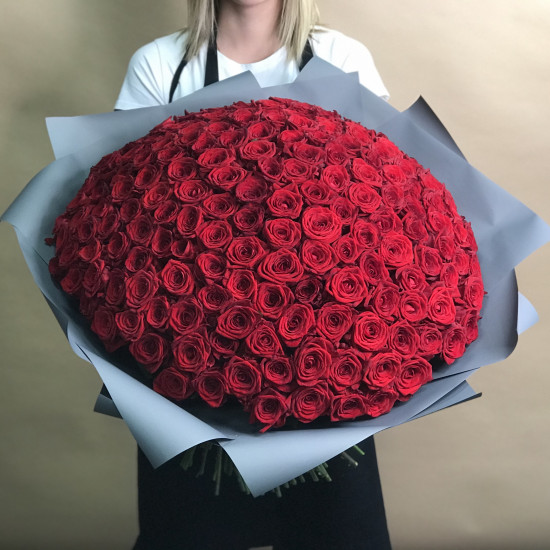 Букеты из роз Букет из 201 красной розы (70 см)