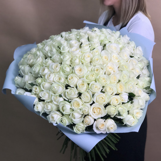Розы Букет из 151 белой розы (60 см)