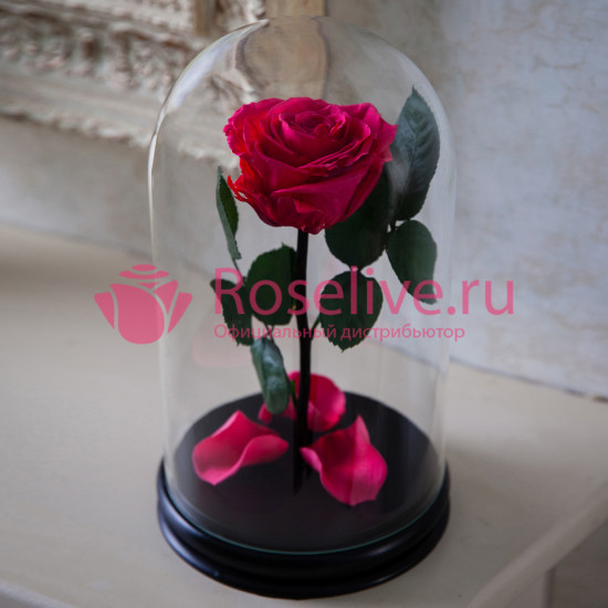 Роза в колбе EGO ROSE