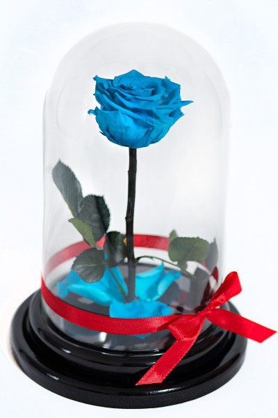 Роза в колбе Синяя шалость